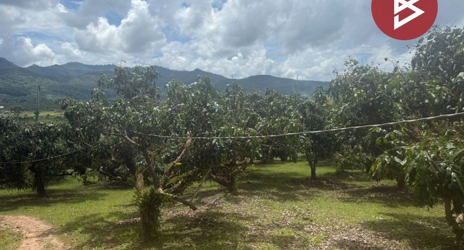 Terreno en venta en Phrao, Chiang Mai