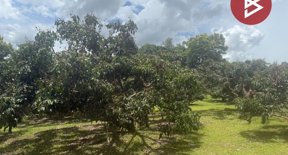 Terreno en venta en Phrao, Chiang Mai
