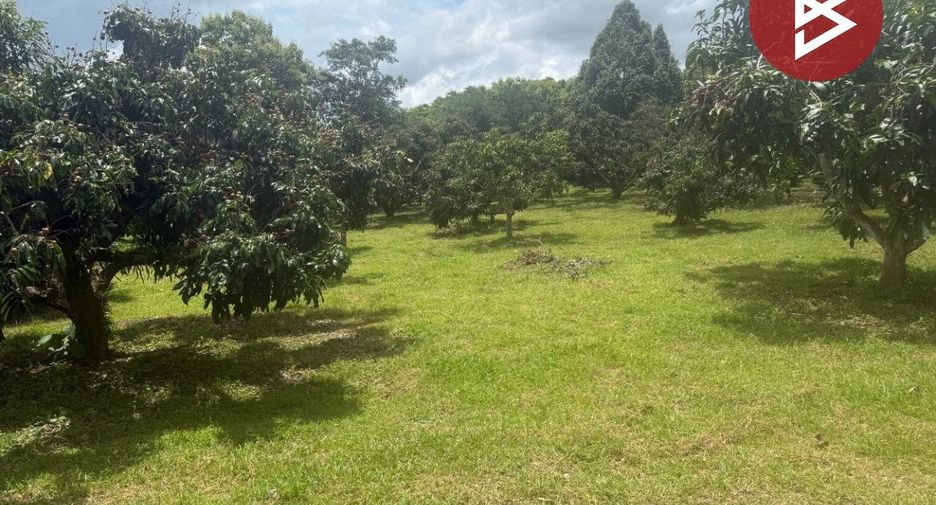 Terreno en venta en Phrao, Chiang Mai
