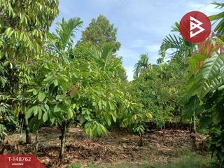 For sale land in Song Phi Nong, Suphan Buri