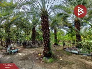 For sale land in Song Phi Nong, Suphan Buri