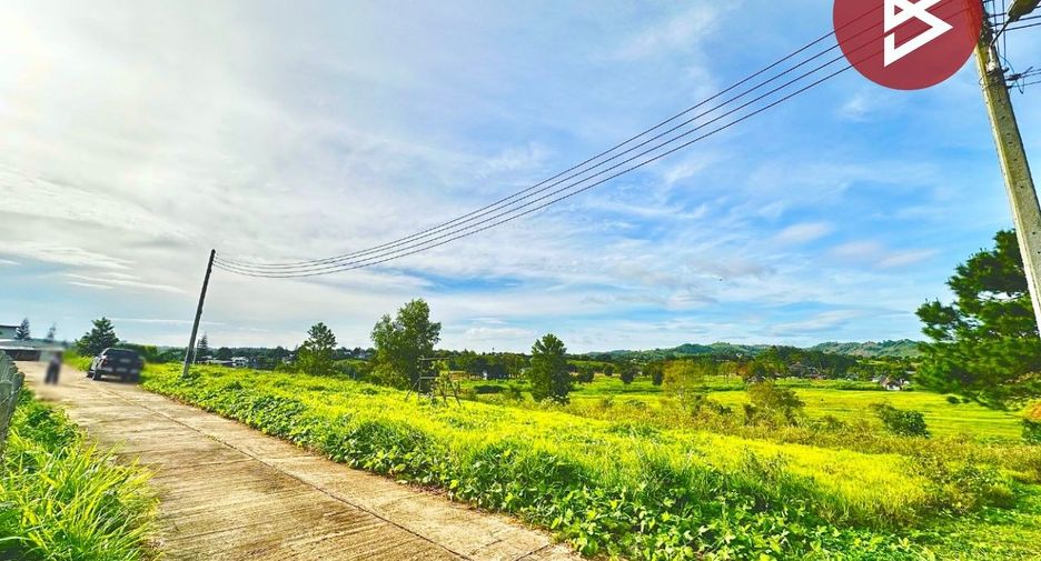 Grundstück zum Kauf in Khao Kho, Phetchabun