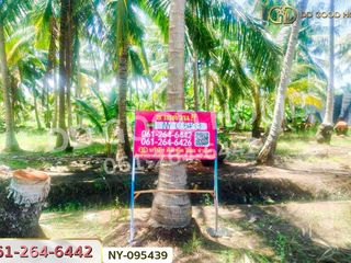 For sale land in Damnoen Saduak, Ratchaburi