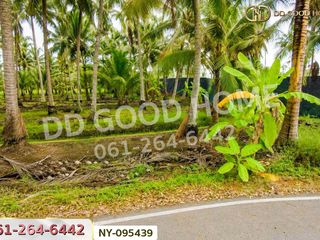For sale land in Damnoen Saduak, Ratchaburi