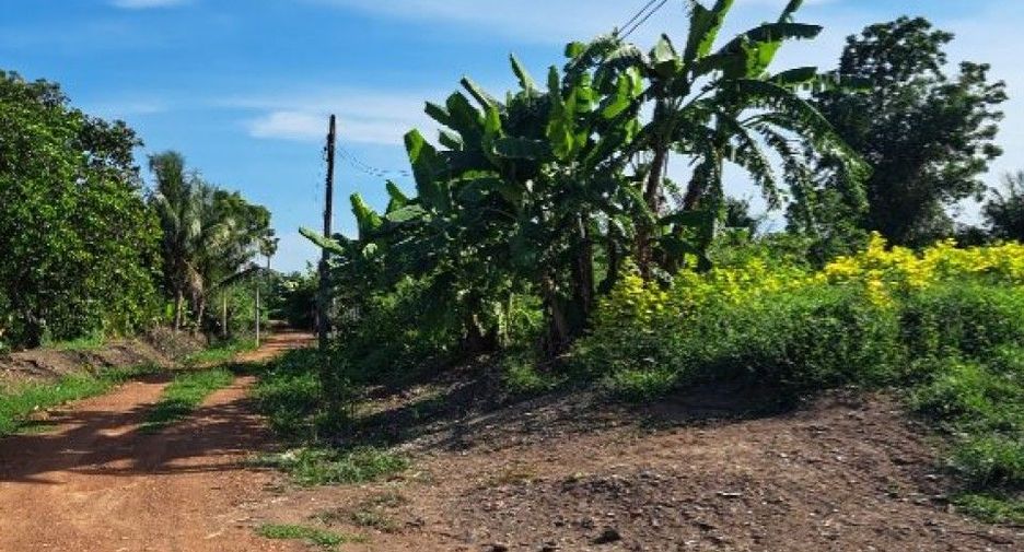 For sale land in Bang Khla, Chachoengsao