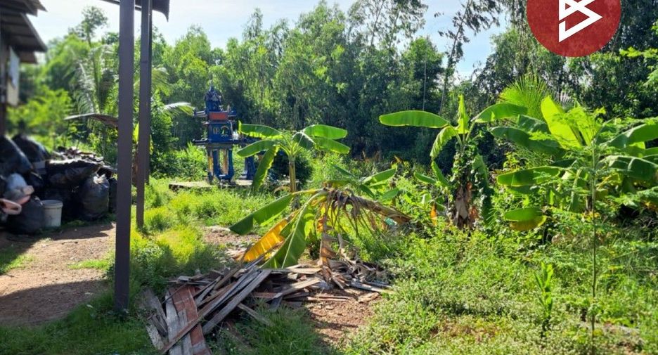 For sale land in Bang Khla, Chachoengsao