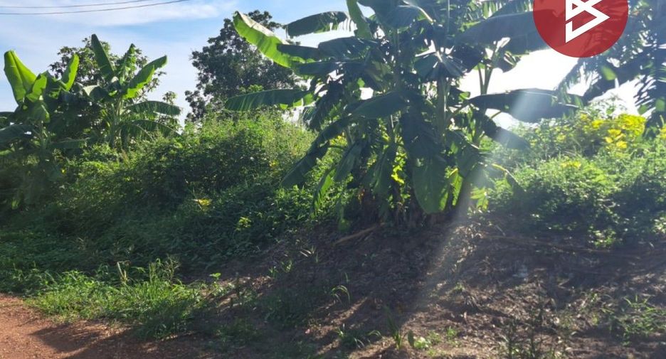 For sale land in Bang Khla, Chachoengsao