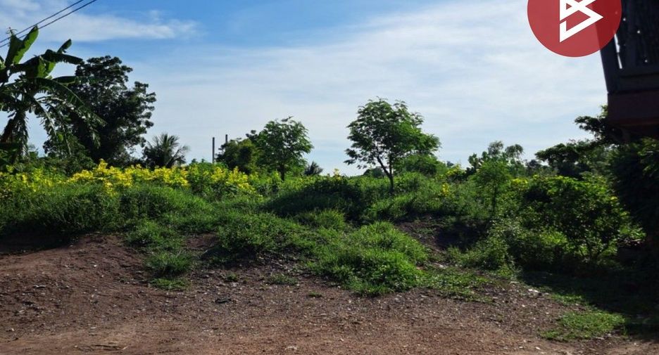 For sale land in Bang Khla, Chachoengsao