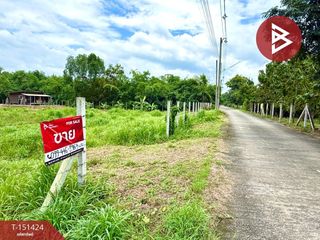 For sale land in Pak Phli, Nakhon Nayok