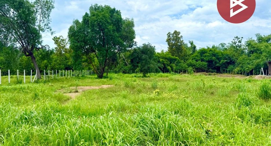 For sale land in Pak Phli, Nakhon Nayok