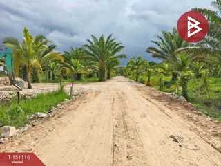 For sale land in Mueang Nakhon Si Thammarat, Nakhon Si Thammarat