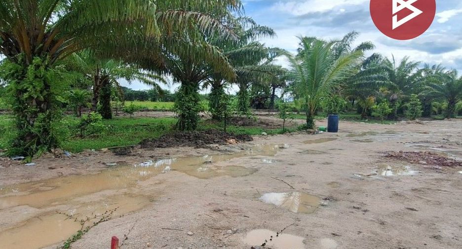 For sale land in Mueang Nakhon Si Thammarat, Nakhon Si Thammarat