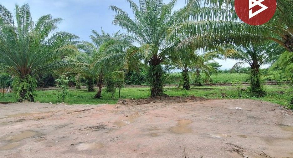 For sale land in Mueang Nakhon Si Thammarat, Nakhon Si Thammarat