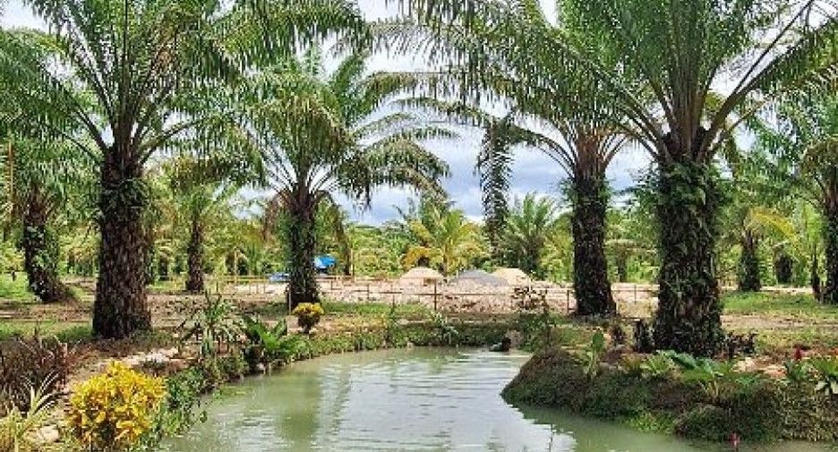 For sale land in Mueang Nakhon Si Thammarat, Nakhon Si Thammarat