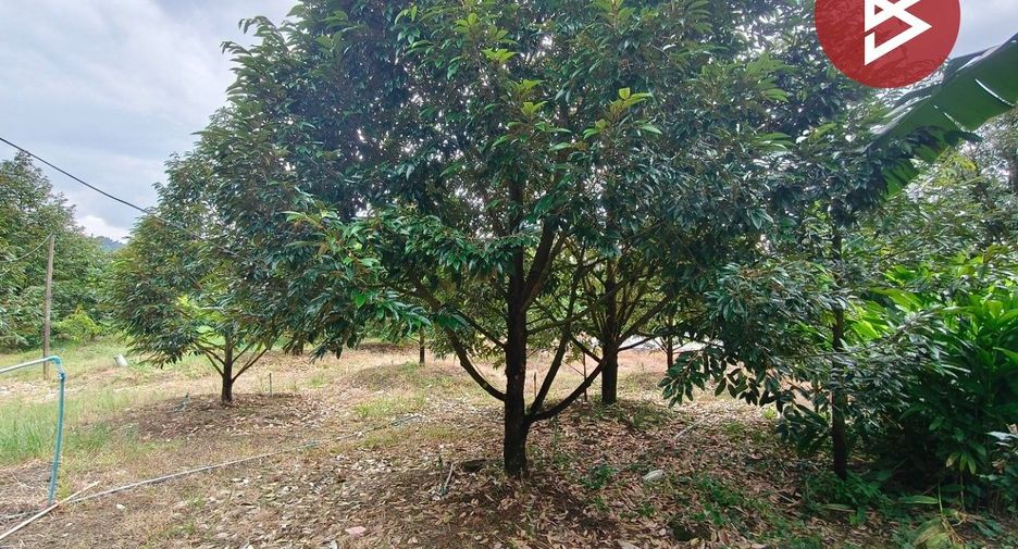 ขาย 1 เตียง บ้านเดี่ยว ใน ท่าใหม่, จันทบุรี