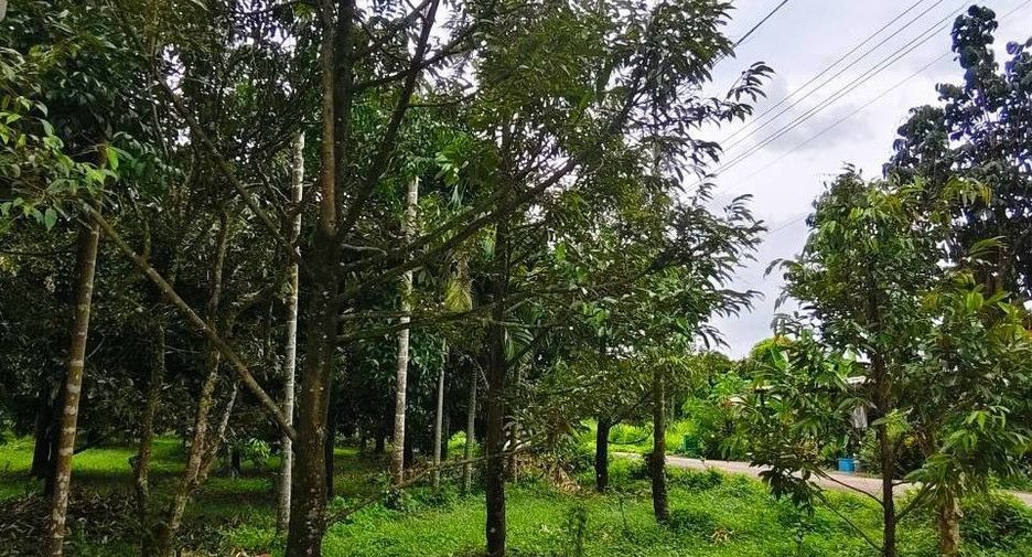 出售 土地 在 Makham, Chanthaburi
