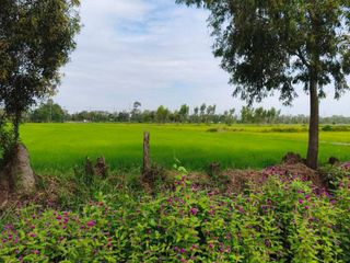 出售 土地 在 Mueang Nakhon Nayok, Nakhon Nayok