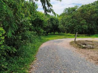 出售 土地 在 Mueang Nakhon Nayok, Nakhon Nayok