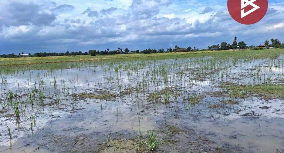 出售 土地 在 Mueang Suphan Buri, Suphan Buri