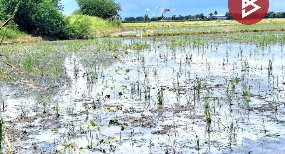 出售 土地 在 Mueang Suphan Buri, Suphan Buri