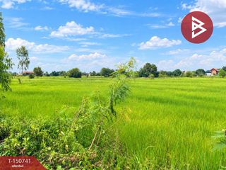 ขาย ที่ดิน ใน ธาตุพนม, นครพนม