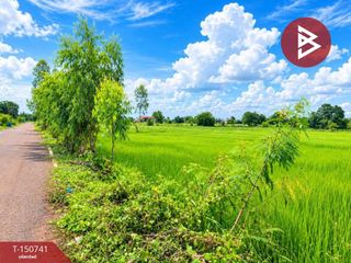 ขาย ที่ดิน ใน ธาตุพนม, นครพนม