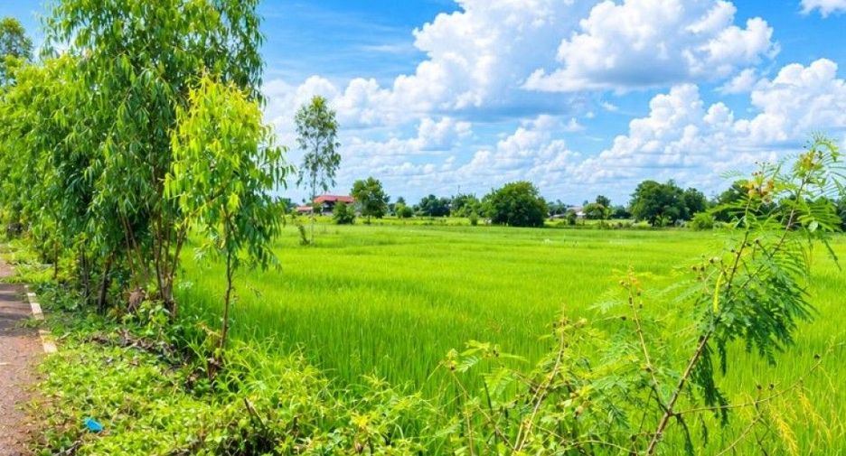 ขาย ที่ดิน ใน ธาตุพนม, นครพนม