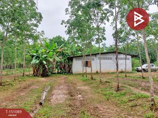 For sale land in Thung Song, Nakhon Si Thammarat