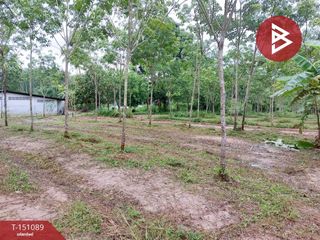 For sale land in Thung Song, Nakhon Si Thammarat