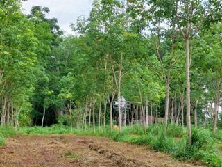 For sale land in Thung Song, Nakhon Si Thammarat