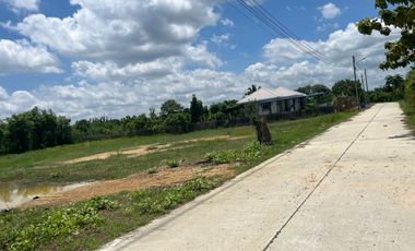 ให้เช่า และ ขาย ที่ดิน ใน ดอนตูม, นครปฐม