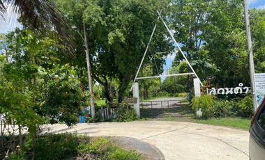 ให้เช่า และ ขาย ที่ดิน ใน ดอนตูม, นครปฐม