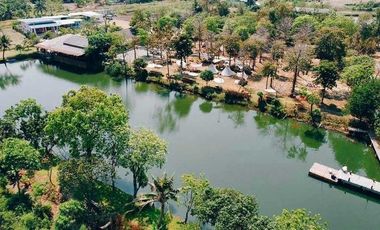 ให้เช่า และ ขาย ที่ดิน ใน ดอนตูม, นครปฐม