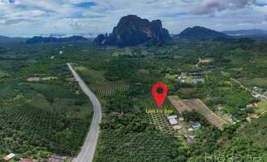 ขาย ที่ดิน ใน เมืองกระบี่, กระบี่