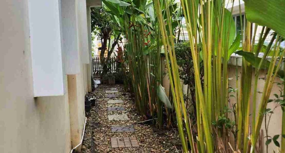 For rent 3 ベッドルーム house in San Sai, Chiang Mai