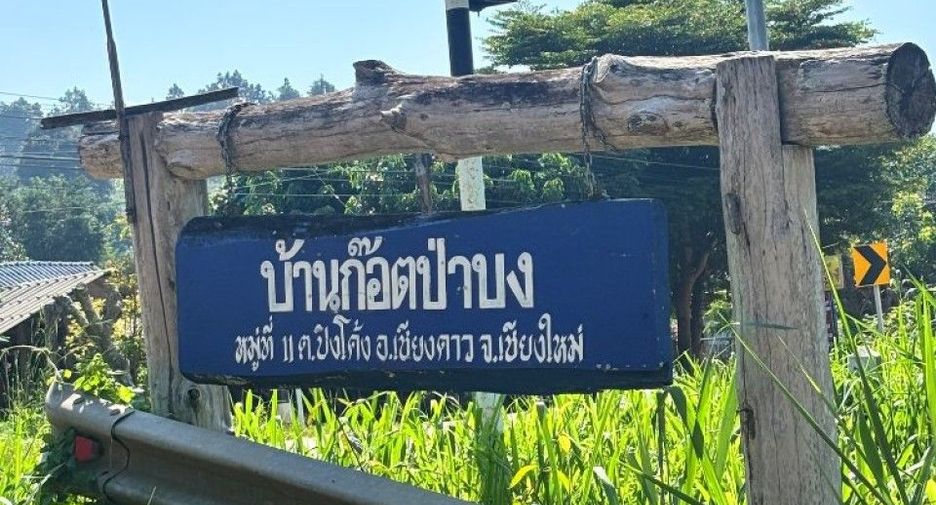 出售 土地 在 Chiang Dao, Chiang Mai