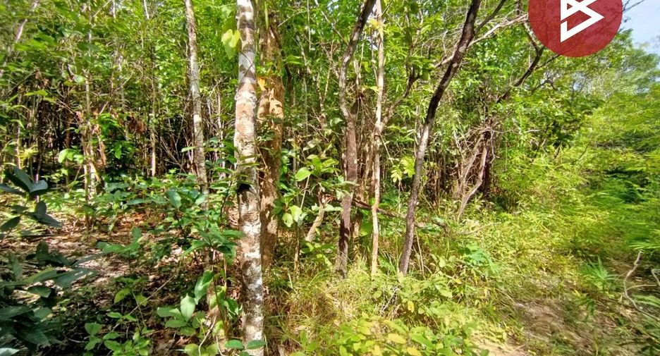 ขาย ที่ดิน ใน เชียงกลาง, น่าน