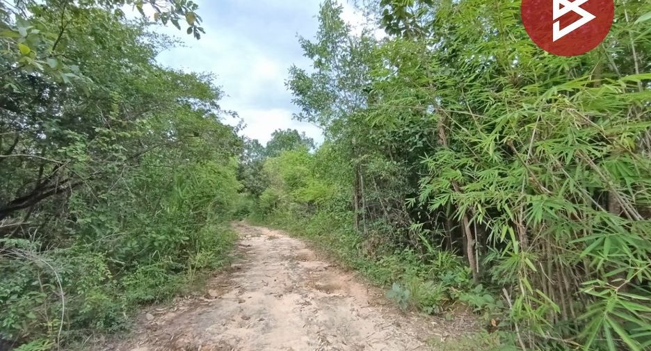 ขาย ที่ดิน ใน เชียงกลาง, น่าน