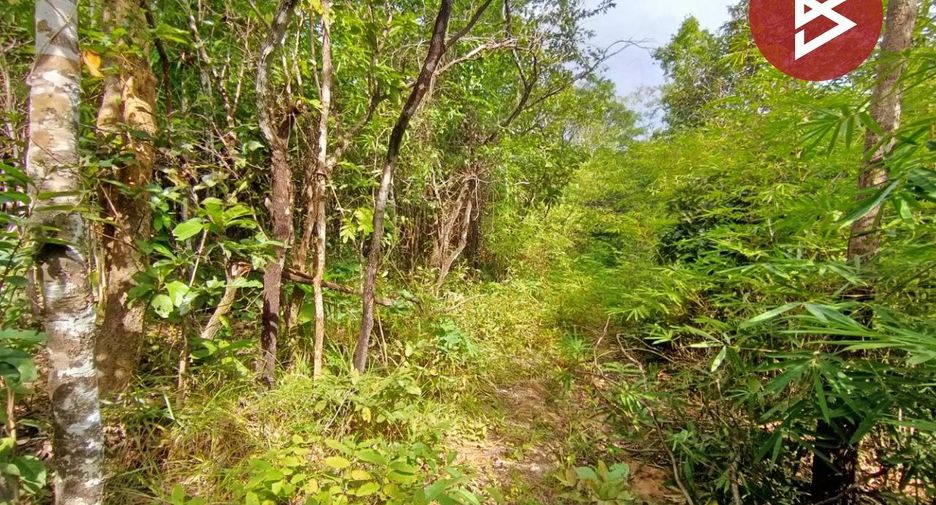 ขาย ที่ดิน ใน เชียงกลาง, น่าน