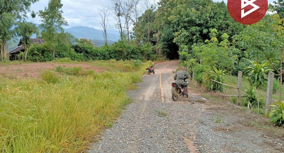 ขาย ที่ดิน ใน เชียงกลาง, น่าน