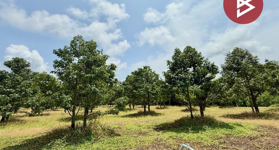 ขาย ที่ดิน ใน นายายอาม, จันทบุรี