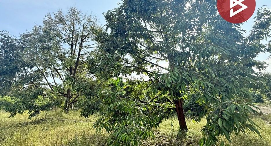 For sale land in Bo Rai, Trat