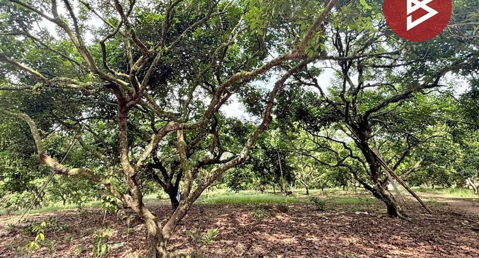 For sale land in Bo Rai, Trat