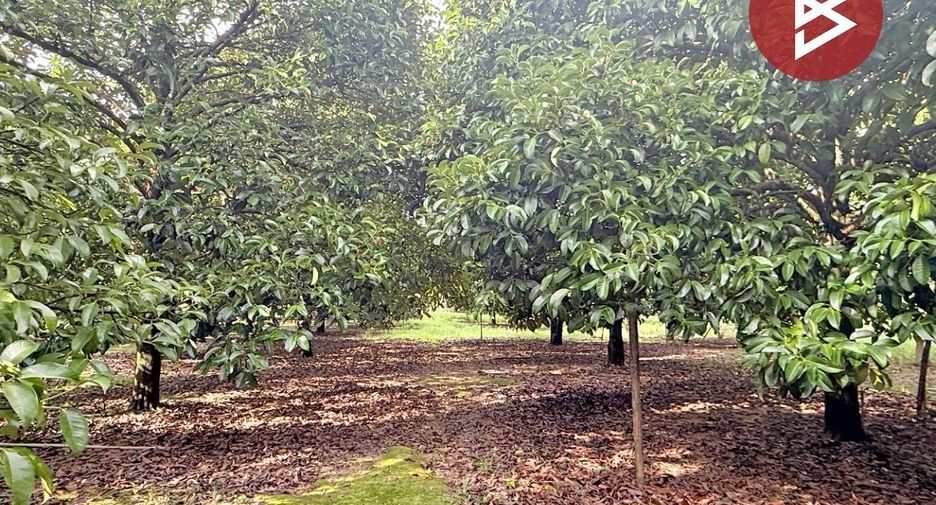For sale land in Bo Rai, Trat