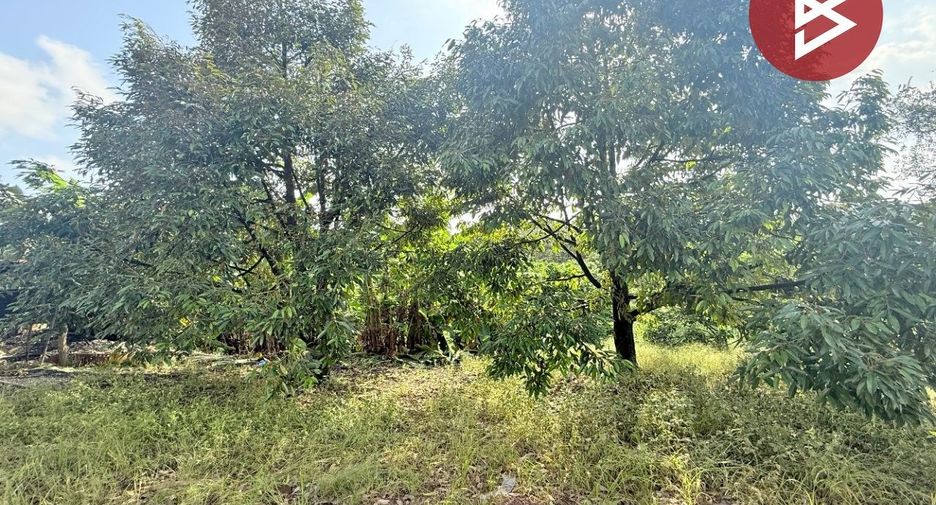 For sale land in Bo Rai, Trat