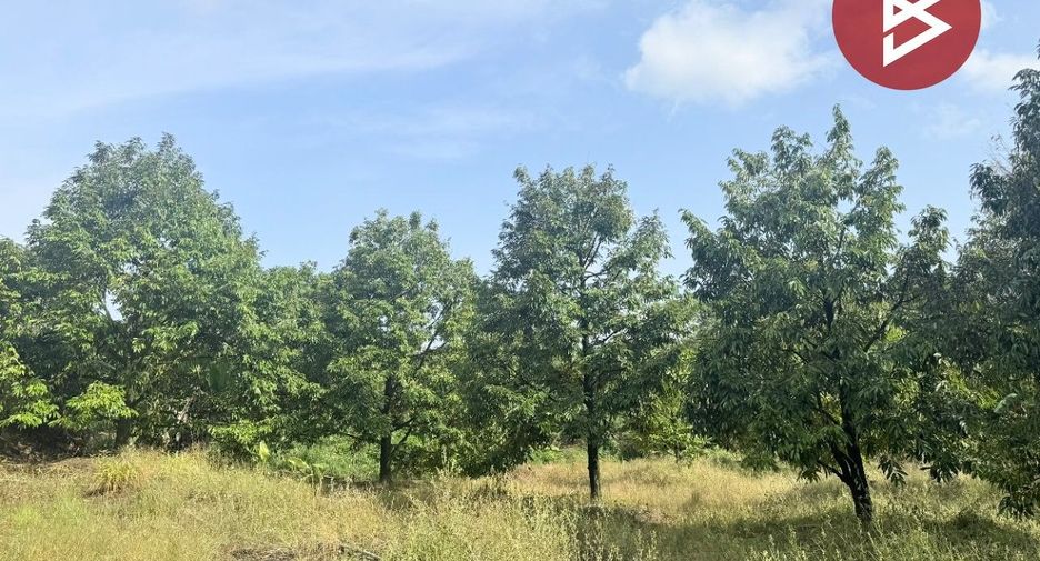 For sale land in Bo Rai, Trat