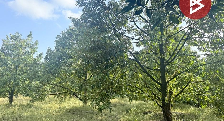 For sale land in Bo Rai, Trat