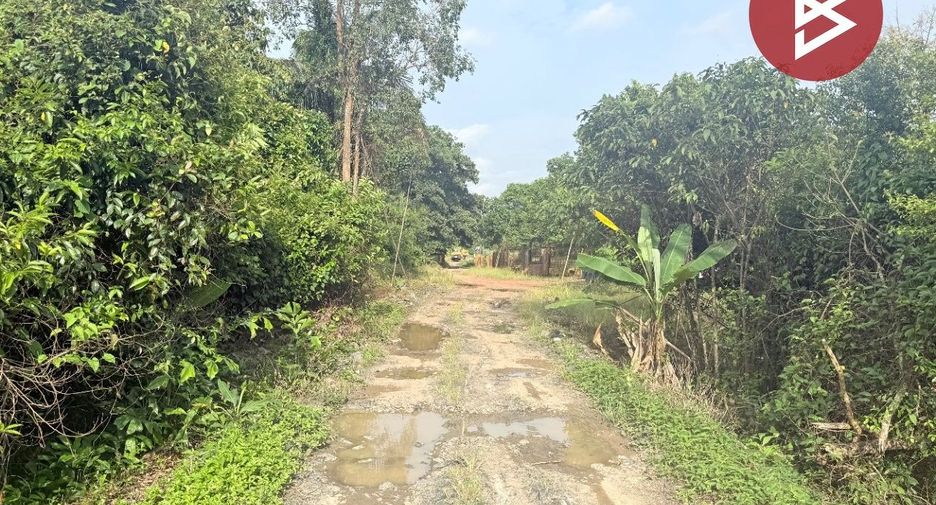 For sale land in Bo Rai, Trat
