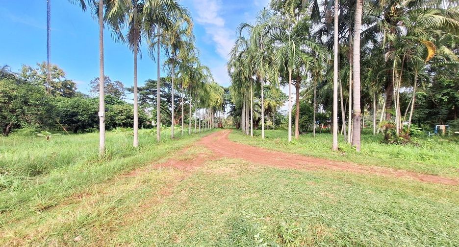 For sale 12 ベッドルーム house in Prachak, Udon Thani
