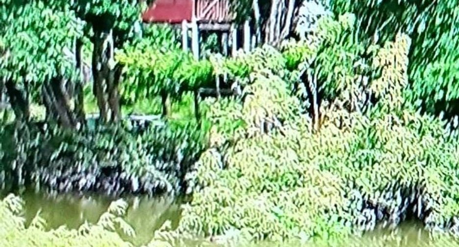 For sale land in Maha Rat, Phra Nakhon Si Ayutthaya